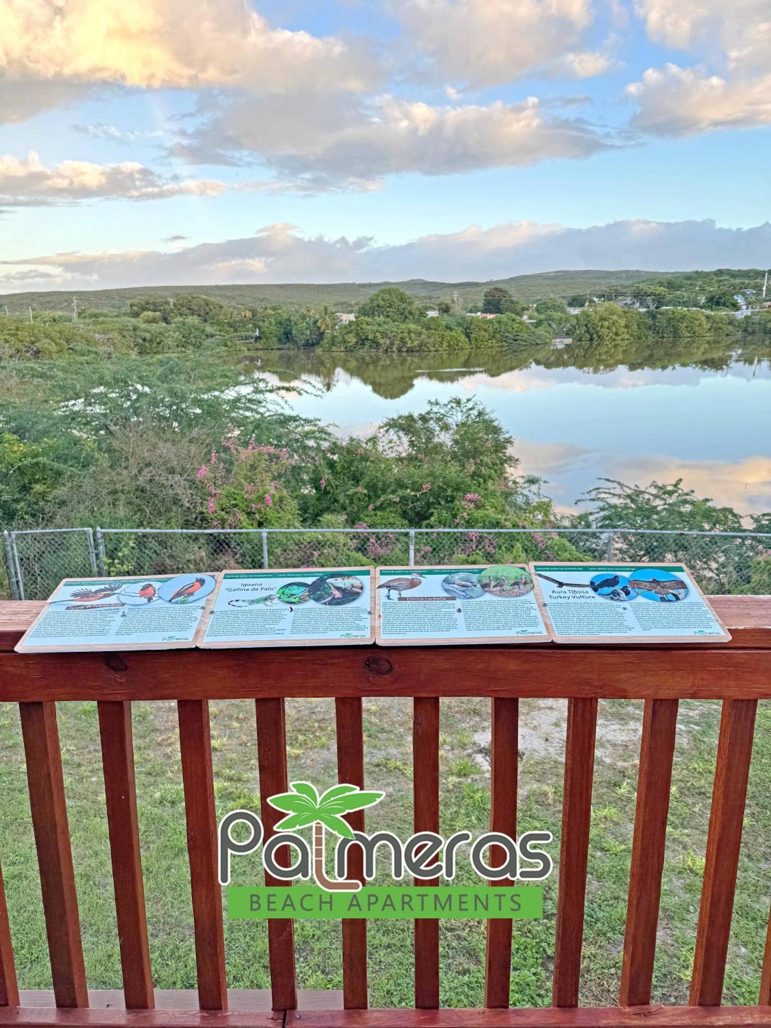 Palmeras Beach Apartments - Playa Santa Guanica Bilik gambar
